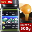 [4月中旬から順次出荷予定][マヌカハニー][アクティブ マヌカハニー UMF 20+ *500g MGO829以上]★無農薬・無添加ニュージーランド天然蜂蜜/はちみつ/ハチミツハニーバレー社(100% Pure New Zealand Honey)社 マヌカ[HLS_DU][RCP]