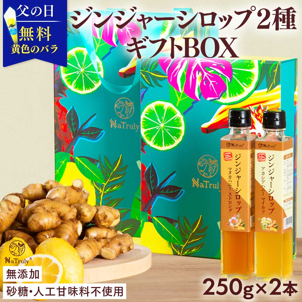 Rakuten - 【 父の日 ギフト 2026 】 オリジナルギフトBOX入り しょうが ジンジャーシロップ ギフトセット マヌカハニーストロング＆アカシアハニーマイルド 各250g×2個セット 生姜 ジンジャーハニー 生姜蜂蜜 生姜湯 温活 お洒落 女性 男性 健康ギフト 父の日プレゼント 熨斗対応