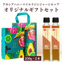 【敬老の日ギフト1000円OFFクーポン★9/12 11:59まで】【熨斗対応】 オリジナルギフトBOX入り 熨斗対応 しょうが ジンジャーシロップ ギフトセッ...