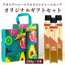 【遅れてごめんね…敬老の日1000円OFFクーポン★9/22 11:59まで】【熨斗対応】 オリジナルギフトBOX しょうが ジンジャーシロップ ギフト アカシ...