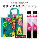 オリジナルギフトBOX入り 熨斗対応 ラズベリー 濃縮エキス 250g 2本セット 瓶 9倍濃縮 ラズベリー ジュース エキス ベリー ラズベリー 100% 木...