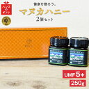 [GWも毎日出荷] プレゼント ギフト [マヌカハニー UMF5+ 250g 2個セット][アクティブマヌカハニー UMF5+ 250g MGO83…