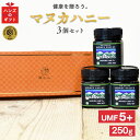 プレゼント ギフト [マヌカハニー UMF5+ 250g 3個セット][アクティブマヌカハニー UMF5+ 250g MGO83～262相当]【ギフトボックス付き】 ..