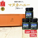 【 送料無料 】 ギフト マヌカハニー UMF15+ 250g 3個セット アクティブマヌカハニー UMF15+ 250g MGO512～828相当 ギフトボックス付き 天然蜂蜜 はちみつ 誕生日プレゼント プレゼント 贈り物 ギフトセット