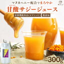 【期間限定2000円ポッキリセット登場★5/16 9:59まで】 サジージュース 甘酸サジージュース 300g 鉄分 ドリンク サジー はちみつ マヌカハニー ...