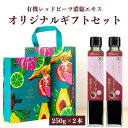 オリジナルギフトBOX入り 熨斗対応 有機 レッドビーツ 濃縮エキス 250g 2本セット 10倍濃縮 瓶 有機JAS認証 ビーツジュース 約1900ml相当 NO ( 一酸化窒素 ) 赤汁 100% オーガニック 無農薬 完全無添加 ポリフェノール 鉄分 ラフィノース ビーツ ドリンク スーパーフード