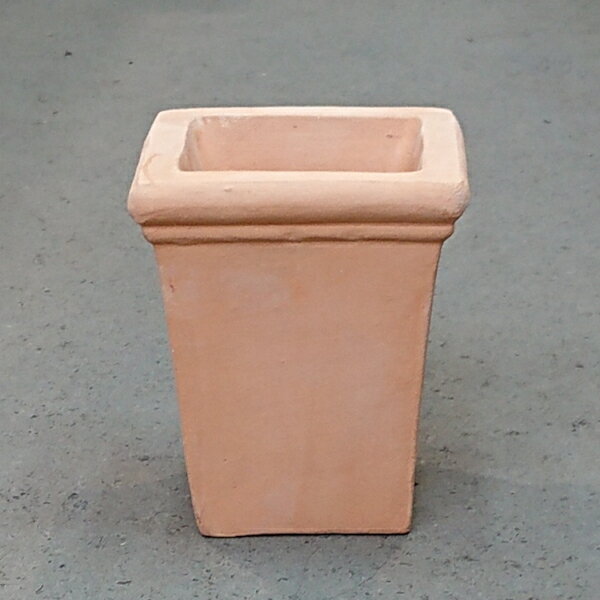 9030522.jpg