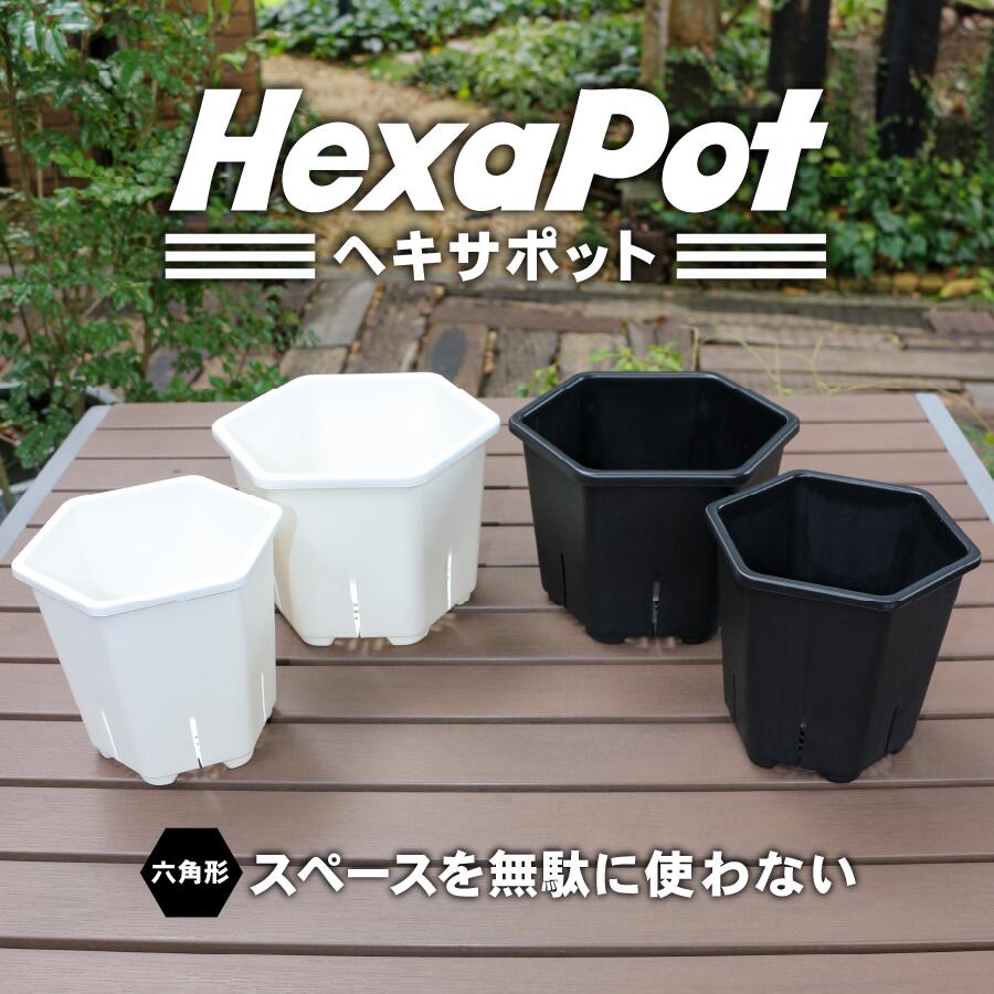 植木鉢 ヘキサポット 鉢 六角型