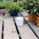 陶器鉢 植木鉢 ホワイトポット丸型 Sサイズ 直径9cm×高さ9cm