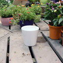 陶器鉢 植木鉢 ホワイトポット丸深型 Mサイズ 直径13cm×高さ13cm 丸型