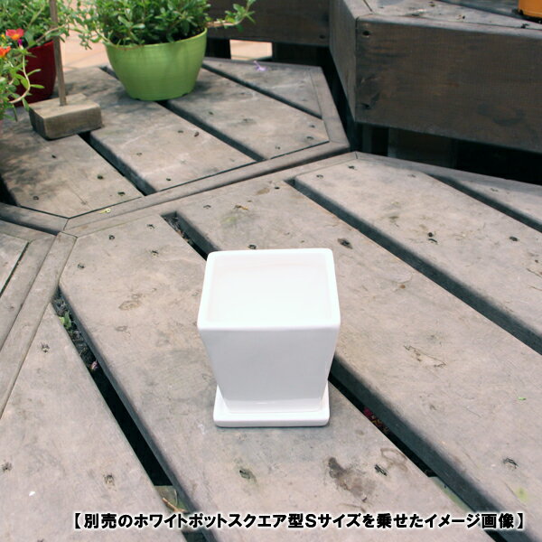 陶器鉢 植木鉢用 皿 キューブ ホワイトポット受け皿 角型 直径8cm