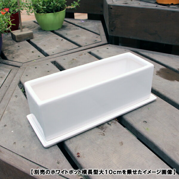 陶器鉢 植木鉢用 皿 ホワイトポット横長受け皿32cm