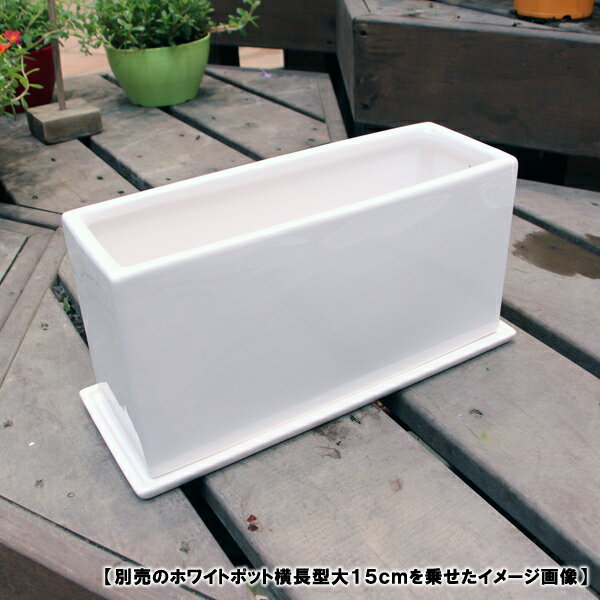 陶器鉢 植木鉢用 皿 ホワイトポット横長受け皿32cm