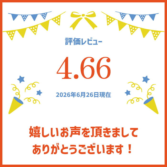 UV手袋 アームカバー 吸汗速乾 五指・指切り 平メッシュ ショート 無地 リボン レ...