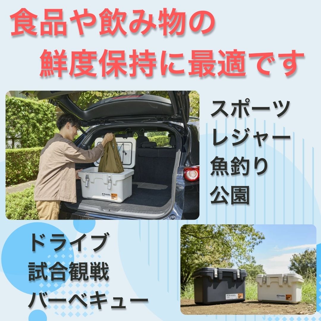 アイリスオーヤマ クーラーボックス HUGEL ヒューゲル 60L 40L 20L ソフト 折りた...