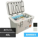 アイリスオーヤマ 【55時間保冷】 HUGEL 真空断熱 クーラーボックス 40L アッシュ クーラーボックス レジャークーラー アウトドア キャンプ 大型 ス...