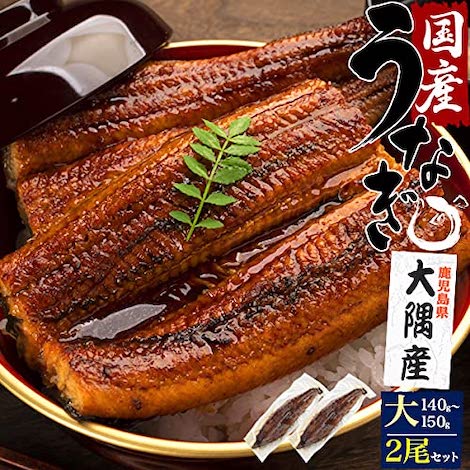 鰻 蒲焼き 国産 うなぎ ギフト 鰻の蒲焼き 鹿児島県 お取り寄せグルメ 贈答用 大隈産 父の日 熨斗 最新発見 うなぎの蒲焼き お中元