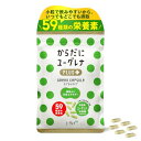 ユーグレナ Green Capsule 180粒 3袋 サプリ サプリメント タブレット ミドリムシ | からだ サポート 安心 安全 国内製造 栄養素 豊富 乳酸菌 植物性 カフェインフリー