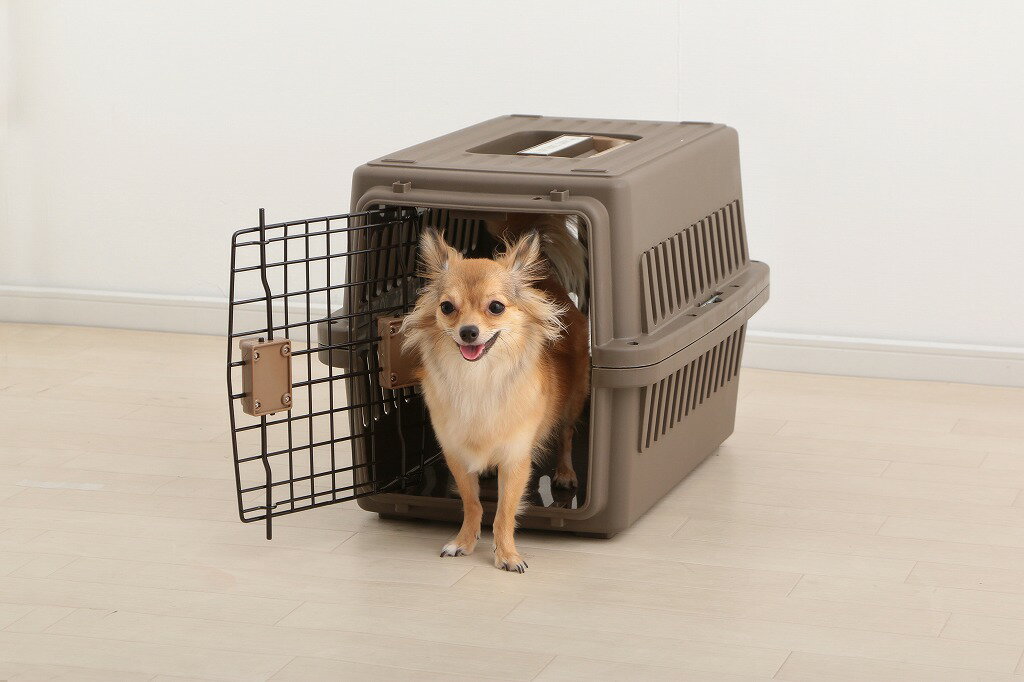 アイリスオーヤマ ペットキャリー 猫 キャリー 超小型犬・猫用 幅29×奥行46×高さ28.5cm ブラウン ATC-460 IRIS OHYAMA