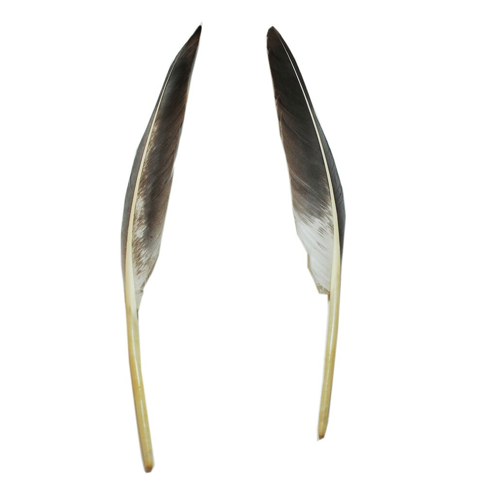 羽 グース 風切り グレイ 2枚 15-25cm【装飾用 羽根】【アクセサリー フェザー パーツ 羽 手芸 アクセ..