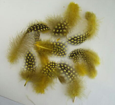 Rakuten - ホロホロ鳥 イエロー 装飾用の羽根 【アクセサリー パーツ 羽 フェザー 手芸 アクセサリ しゅげい】10本入り【メール便】