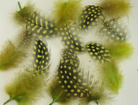 ホロホロ鳥 キミドリ　装飾用の羽根 【アクセサリー パーツ 羽 フェザー 手芸 アクセサリ しゅげい】10..