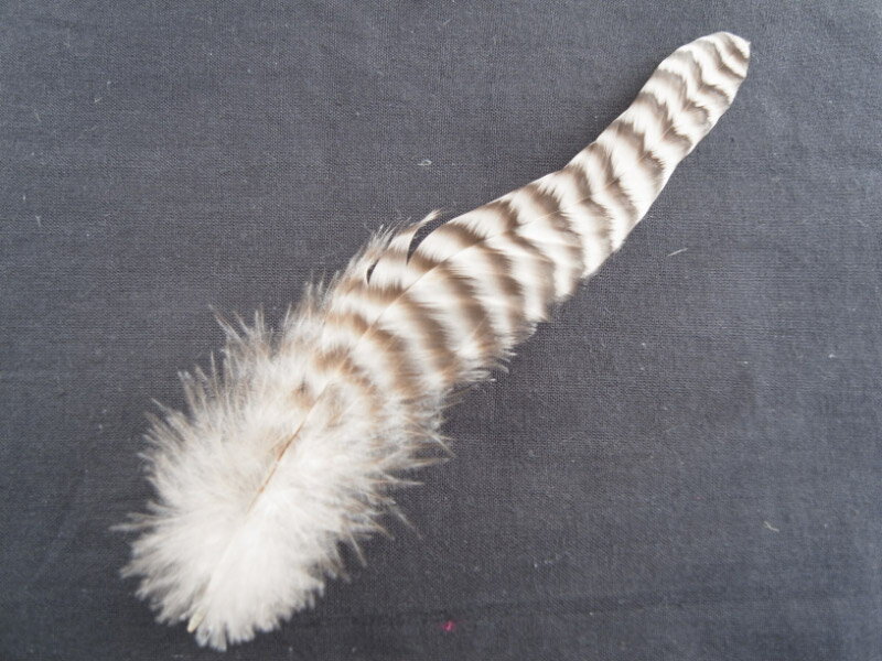 ブリモース ロング 15-25cm 装飾用羽根 【メール便】