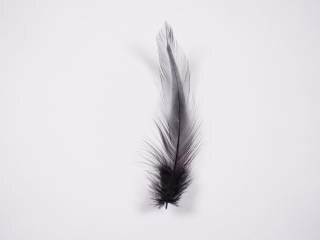 首毛　黒 装飾用の羽根 