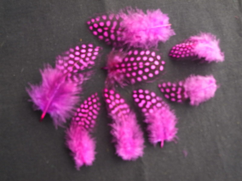 ホロホロ鳥　ワイン/紫 装飾用の羽根 【アクセサリー パーツ 羽 フェザー 手芸 アクセサリ しゅげい】..