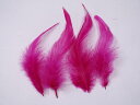 キャラ尾 ワインレッド 12-16cm 10本 装飾用の羽根 【アクセサリー パーツ 羽 手芸 アクセサリ しゅげい フェザー】【メール便】羽ドレス衣装 舞台衣装 ダンス衣装 帽子飾り 羽ビーズ