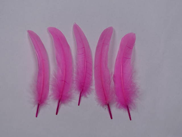 羽根　車 小羽根 （ブライトピンク） 10本 【装飾用 羽根 フェザー】【アクセサリー パーツ 羽 手芸 ア..
