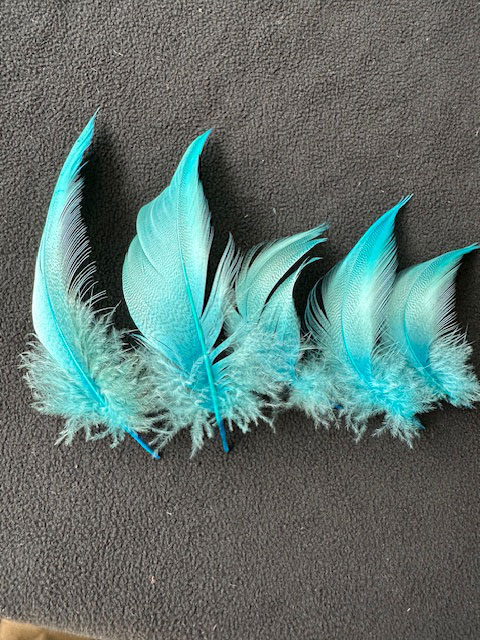 羽 シマ毛ブルー　大2枚　小3枚【装飾用の羽根】【フェザー アクセサリー パーツ 羽 手芸 アクセサリ しゅげい】【メール便】羽 髪飾り 羽 手芸 羽 ビーズ 羽 帽子飾り　ドリームキャッチャー