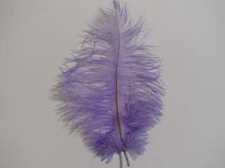 オーストリッチ 小　パープル 2本 set【アクセサリー パーツ 羽】【フェザー 手芸】【アクセサリ しゅげい】【メール便】