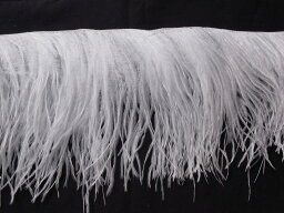フリンジ 90cm （ホワイト） この羽根はディスプレイ、アクセサリー、ヘットドレス等に使用されてます。