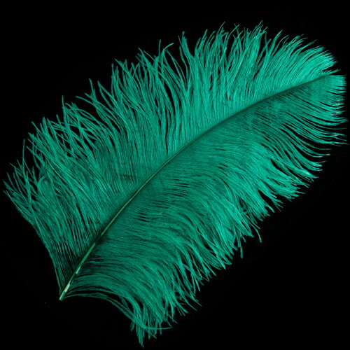 オーストリッチ 45〜55cm （緑） この羽根はディスプレイ アクセサリー ヘットドレス等に使用されてます。