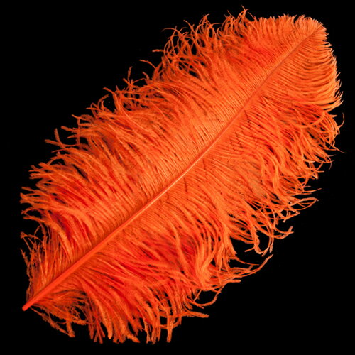 羽 オーストリッチ 45～55cm （オレンジ） 羽 ディスプレイ、アクセサリー、ヘットドレス 羽ディスプレ..