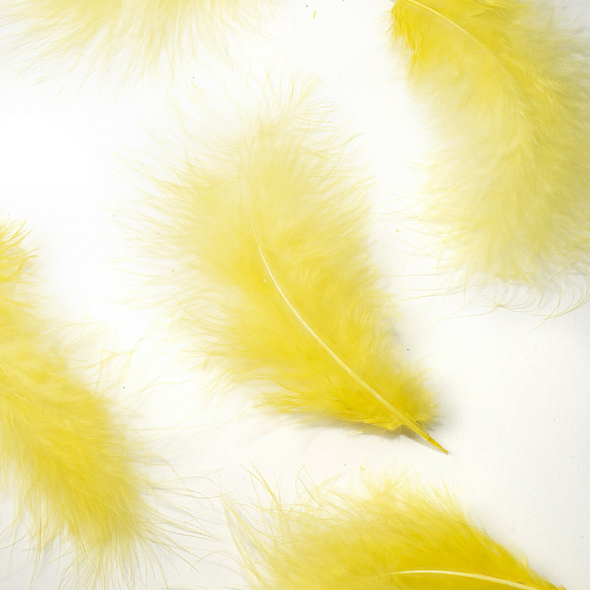 Rakuten - 羽 フラット大 黄色 羽 飾り 羽根 髪飾り 羽　ビーズ　 天使の羽根　羽　ディスプレイ 羽 エンジェルシャワー 羽根　アクセサリー　羽根 ヘットドレス　羽根　コサージュ【メール便】