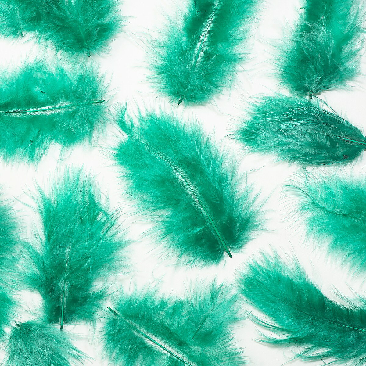 Rakuten - 羽 フラット小グリーン 羽 飾り 羽根 髪飾り 羽　ビーズ　 天使の羽根　羽　ディスプレイ 羽 エンジェルシャワー 羽根　アクセサリー　羽根 ヘットドレス　羽根　コサージュ【メール便】