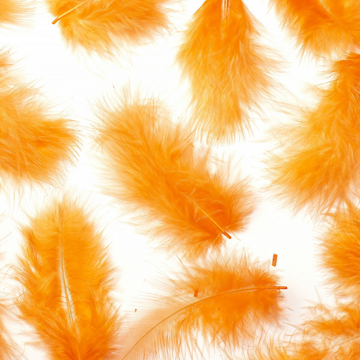 羽 フラット中 オレンジ 羽 飾り 羽根 髪飾り 羽　ビーズ　 天使の羽根　羽　ディスプレイ 羽 エンジェ..