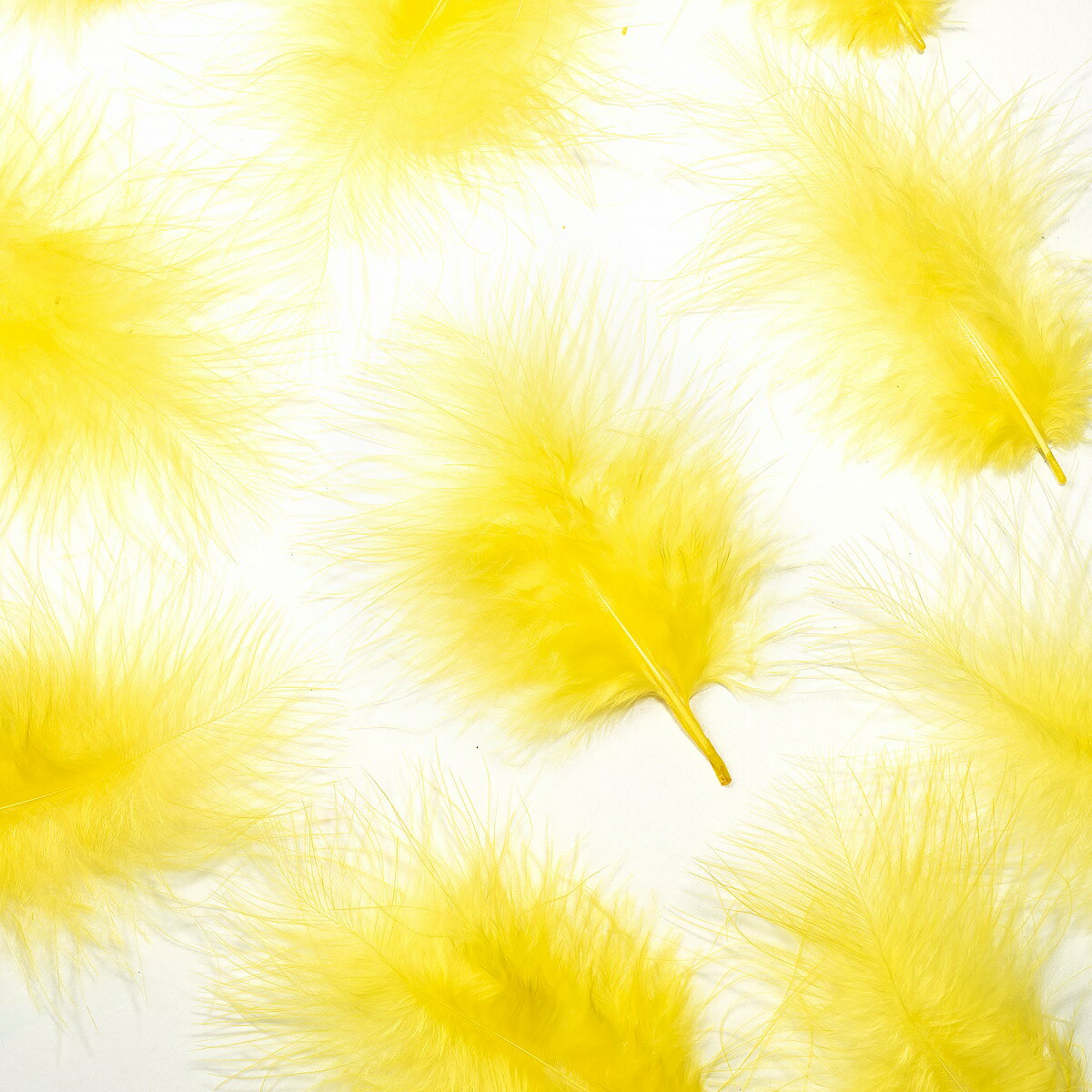 Rakuten - 羽 フラット小黄色 羽 飾り 羽根 髪飾り 羽　ビーズ　 天使の羽根　羽　ディスプレイ 羽 エンジェルシャワー 羽根　アクセサリー　羽根 ヘットドレス　羽根　コサージュ　メール便可能