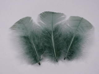 Rakuten - プルメジ小 アッシュグリーン 5本 ディスプレイ　アクセサリー　ヘットドレス　【メール便】