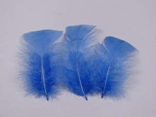 プルメジ小 グリーゼブルー　5本 ディスプレイ　アクセサリー　ヘットドレス　等に使用 【メール便】