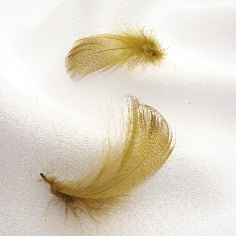 グレイマラード3g入り［オリーブ］フェザーパーツ 羽根 羽毛 材料 素材 手芸 アクセサリー 花材 フラワーアレンジメント ハロウィン 仮装 ダンス 衣装 コスプレ