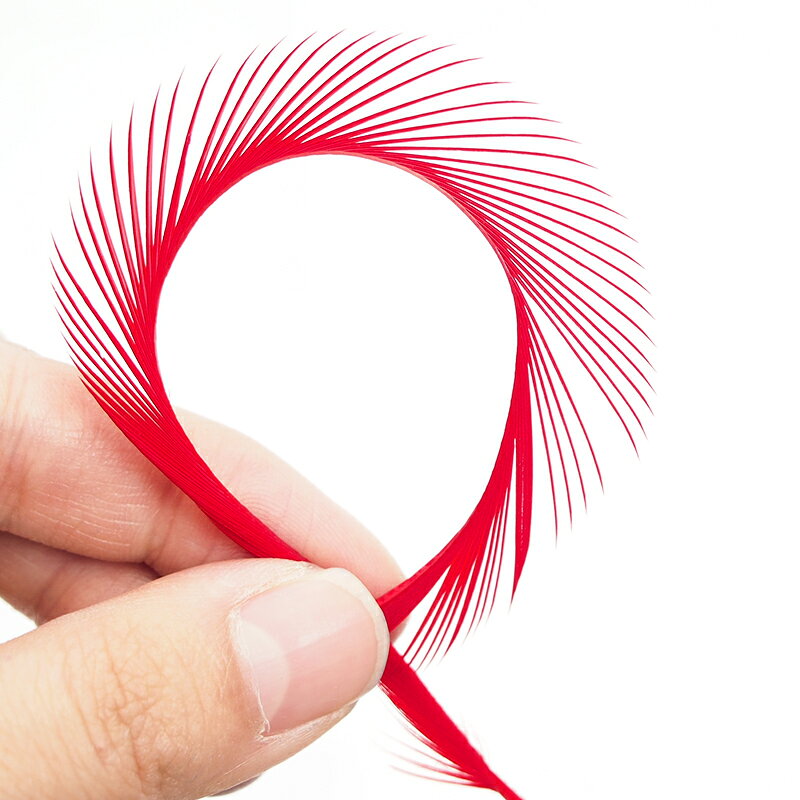 ビヨット6本入り［レッド］フェザーパーツ 羽根 羽毛 材料 素材 手芸 アクセサリー 花材 フラワーアレンジメント ハロウィン 仮装 ダンス 衣装 コスプレ