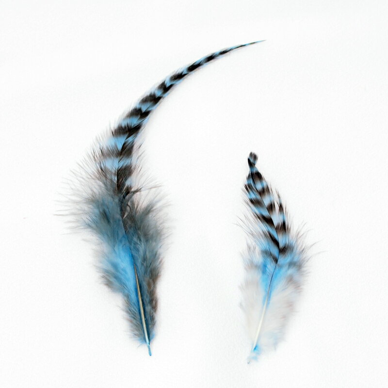 羽 フェザー スペイコック・グリズリー2g入り［スカイブルー］フェザーパーツ 羽根 羽毛 材料 素材 手芸 アクセサリー 花材 フラワーアレンジメント ハロウィン 仮装 ダンス 衣装 コスプレ ハンドメイド クリスマス リース