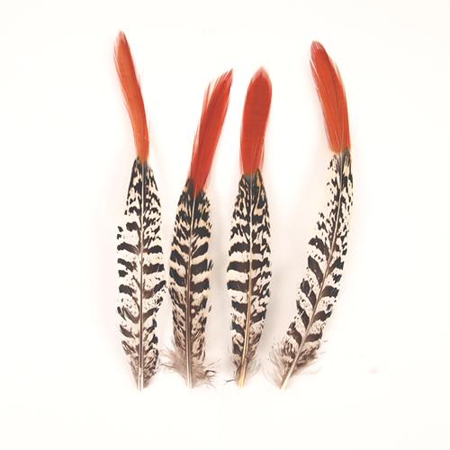 銀ケイの羽根4本入り軸なしフェザーパーツ 羽根 羽毛 材料 素材 手芸 アクセサリー 花材 フラワーアレンジメント ハロウィン 仮装 ダンス 衣装 コスプレ