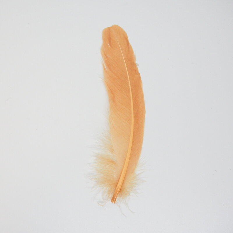 グース・ホロ5本入り［シナモン］フェザーパーツ 羽根 羽毛 材料 素材 手芸 アクセサリー 花材 フラワーアレンジメント ハロウィン 仮装 ダンス 衣装 コスプレ