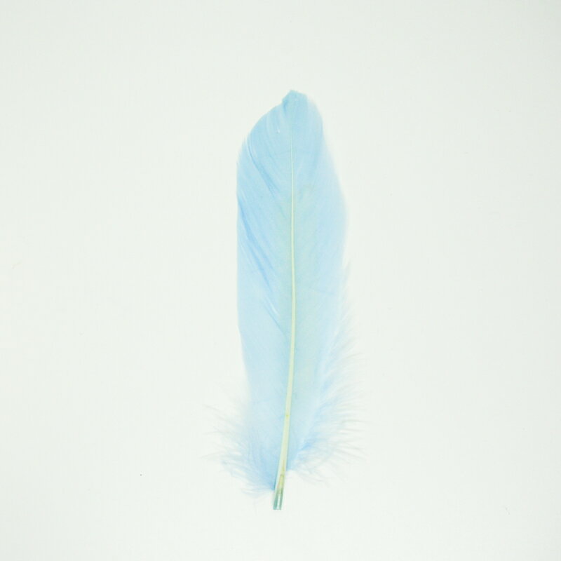 グース・ホロ5本入り［ライトブルー］フェザーパーツ 羽根 羽毛 材料 素材 手芸 アクセサリー 花材 フラワーアレンジメント ハロウィン 仮装 ダンス 衣装 コスプレ