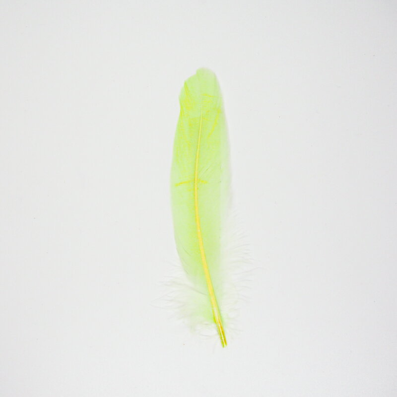 グース・ホロ5本入り［ライムイエロー］フェザーパーツ 羽根 羽毛 材料 素材 手芸 アクセサリー 花材 フラワーアレンジメント ハロウィン 仮装 ダンス 衣装 コスプレ