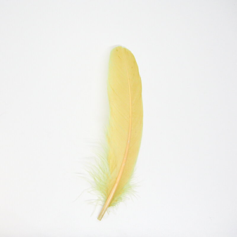 グース・ホロ5本入り［ピスタチオ］フェザーパーツ 羽根 羽毛 材料 素材 手芸 アクセサリー 花材 フラワーアレンジメント ハロウィン 仮装 ダンス 衣装 コスプレ